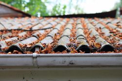 Why Fall is the Best Time for Roof Repairs in Minneapolis, MN