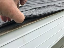 Roof,Showing,Hail,Damage,Inspection