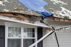 Residential,House,Crushed,By,Fallen,Trees,And,Tree,Limbs,During